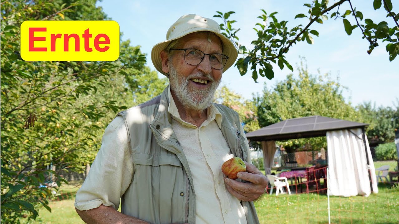 #10 totale umveredelt, Ernte trotz Blütenfrost?