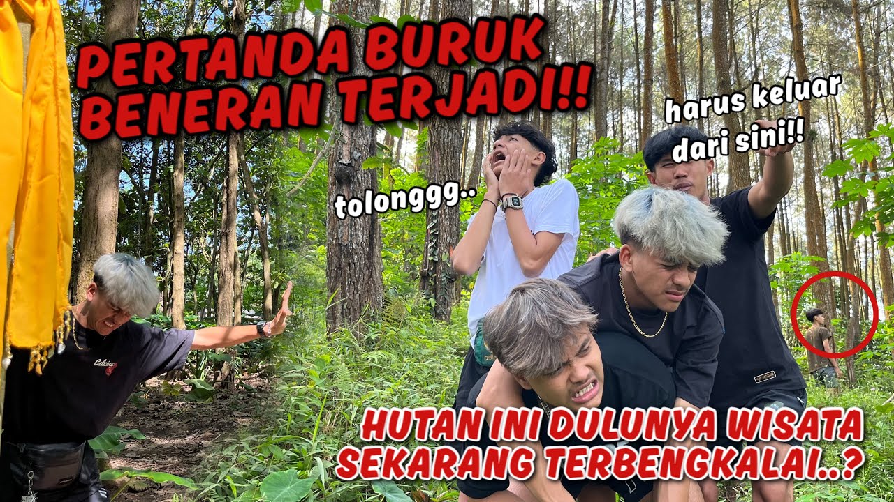 CEK LOKASI DI TENGAH HUTAN PINUS !! Ternyata Dulunya Wisata.