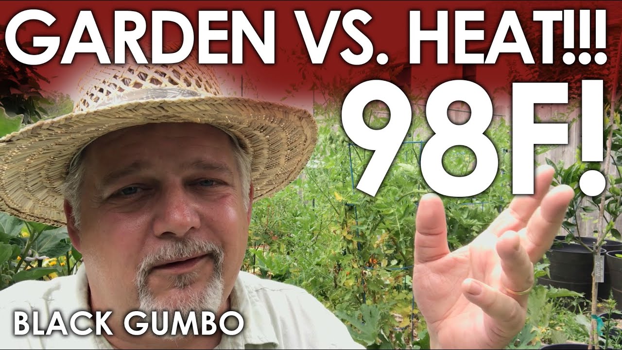 Garden VS. Summer HEAT! A Tour || Black Gumbo