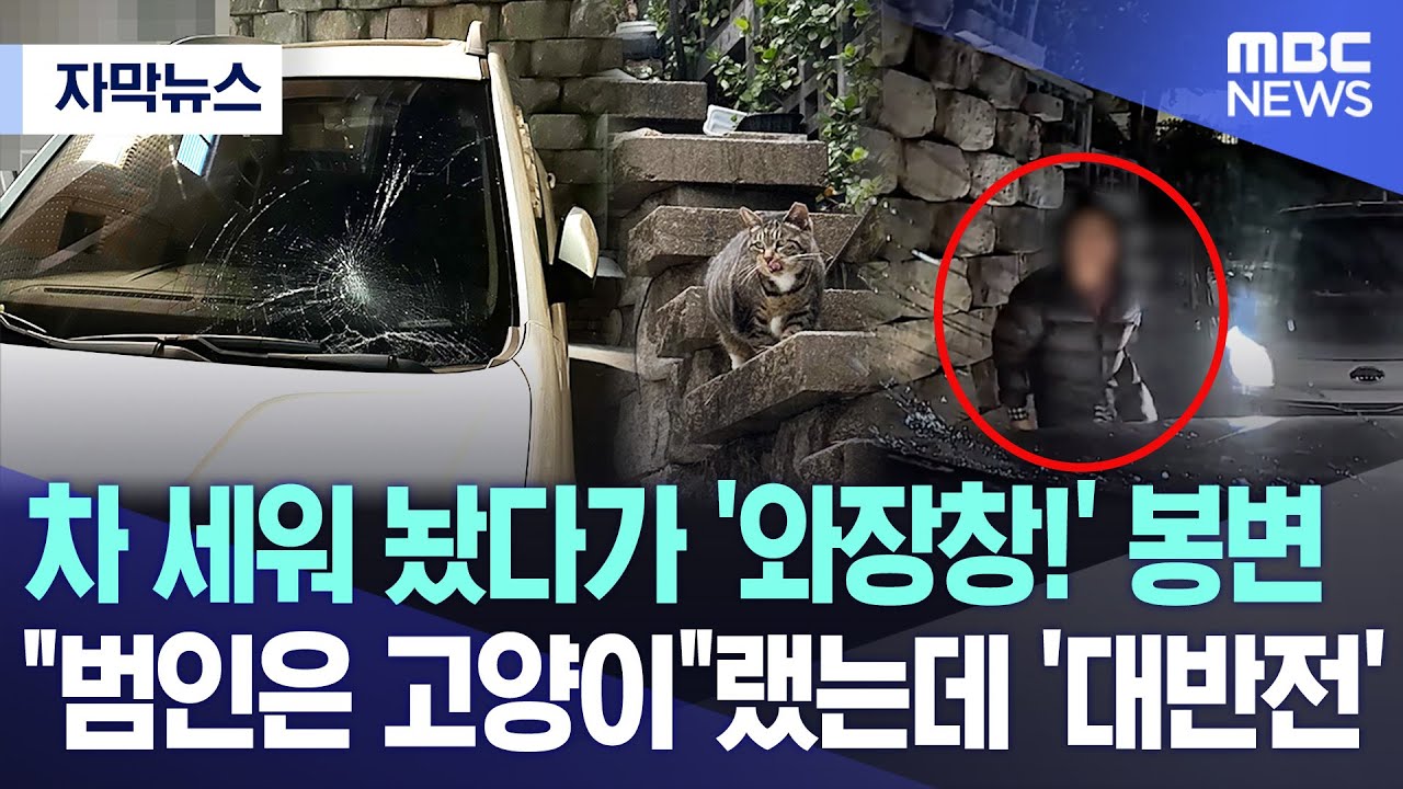 [자막뉴스] 차 세워 놨다가 '와장창!' 봉변..