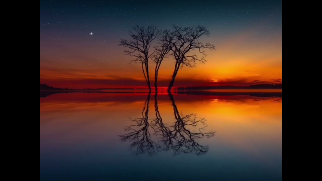 أَرَجُ دَارِيْــن فـي تَعَـامُـلِ الأَمِـيْــن مَع المُخْطِئيــن (1)