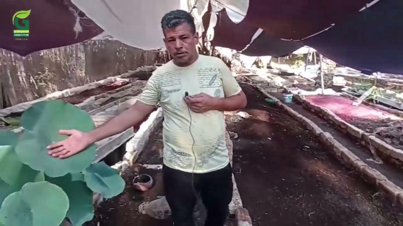 مزرعة إنتاج السماد العضوي 