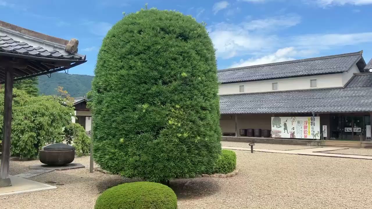Visiting Yoh Asakura Shaman King Family Home (Izumo Cultural Heritage Museum)