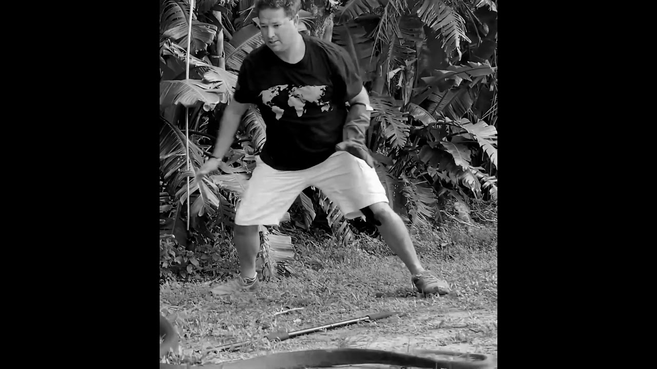 BLACK MAMBA GOES WILD!