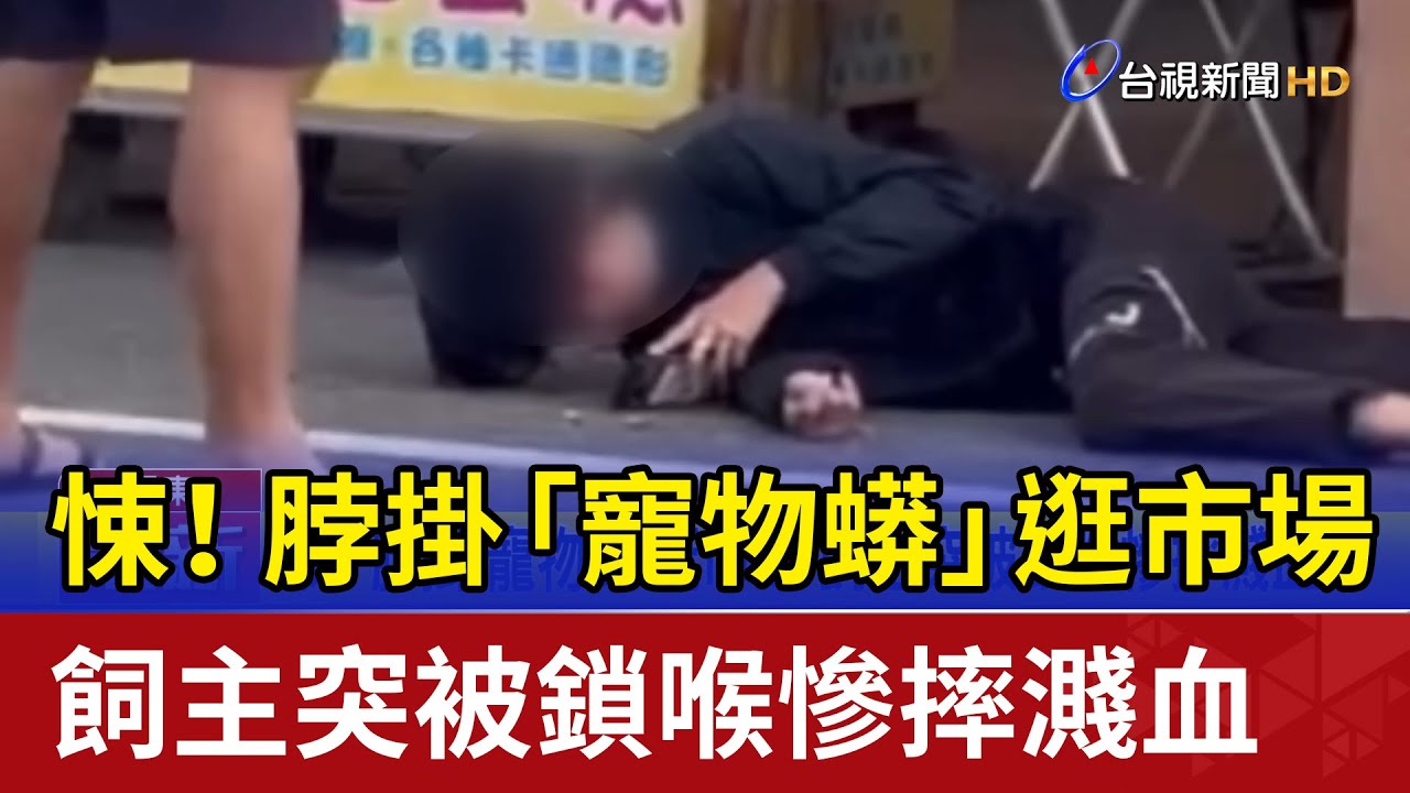 悚！ 脖掛「寵物蟒」逛市場 飼主突被鎖喉慘摔濺血