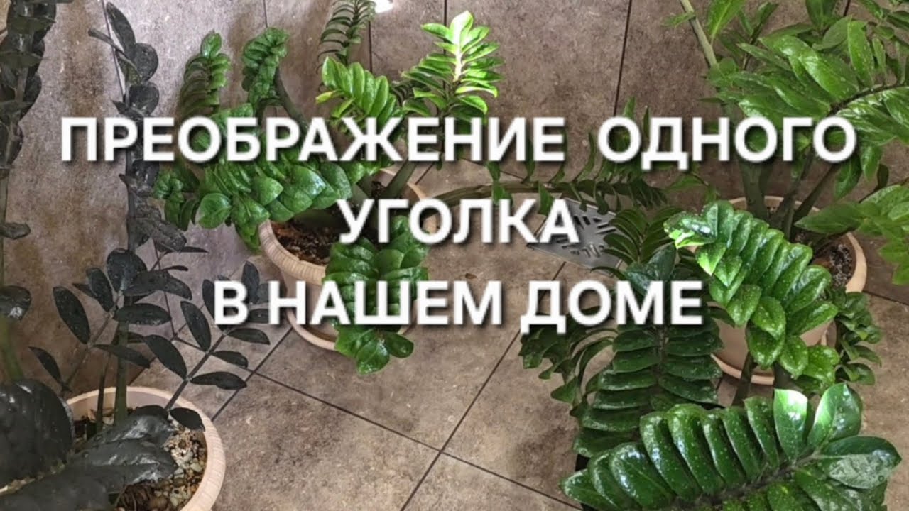 ПРЕОБРАЖЕНИЕ ОДНОГО УГОЛКА В НАШЕМ ДОМЕ.