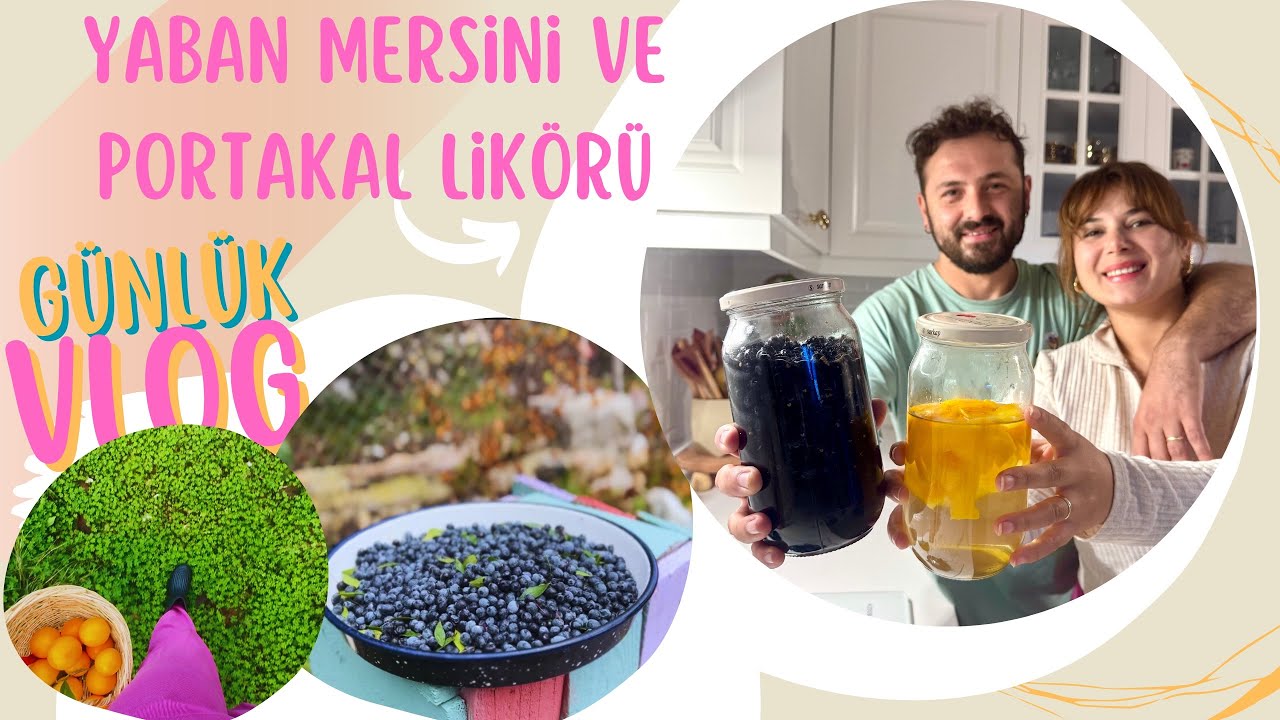 YABAN MERSİNİ VE PORTAKAL LİKÖRÜ YAPTIK | BAHÇEDEN DOĞAL ÜRÜNLERLE | DÜŞÜK MALİYETLİ