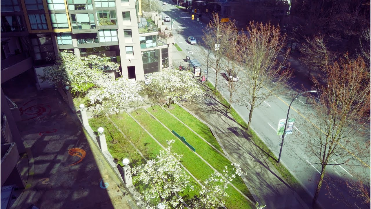 Another Sunny View from The Window