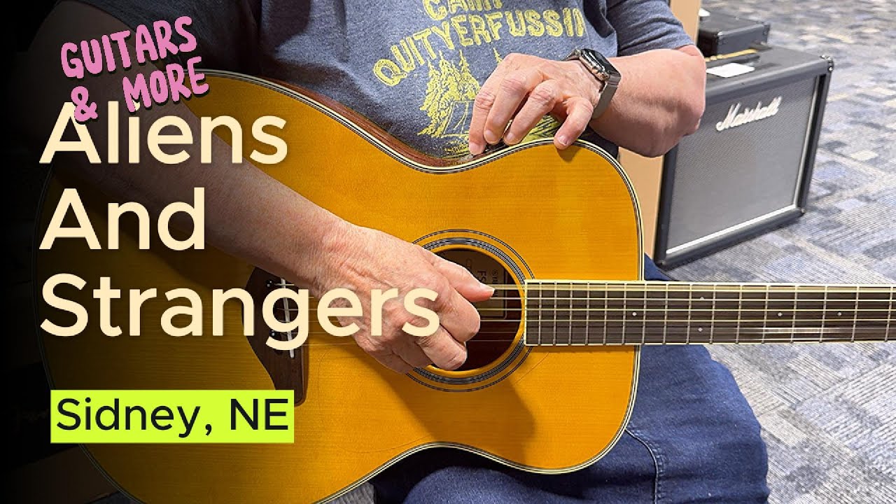 GREAT BUDGET GUITARS ** Aliens & Strangers  ** Breedlove, Teton, Fender, Yamaha       #guitar