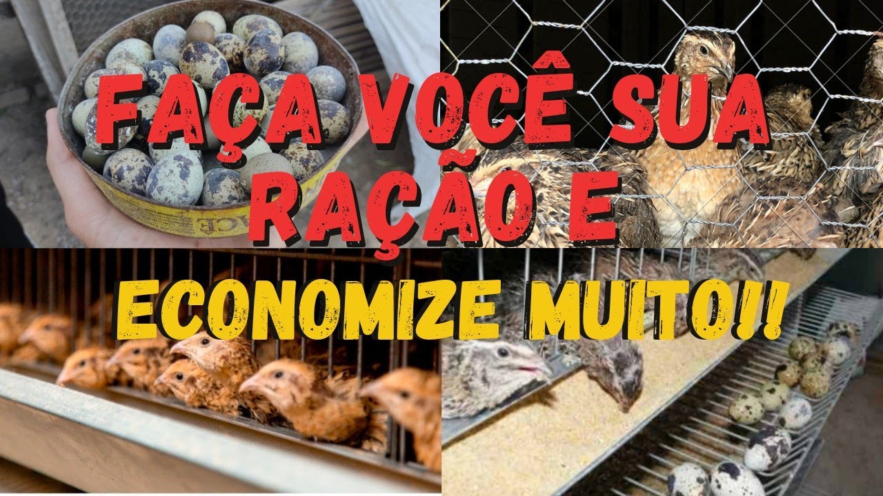 Aprenda fazer sua própria ração /como fazer ração para codornas!!