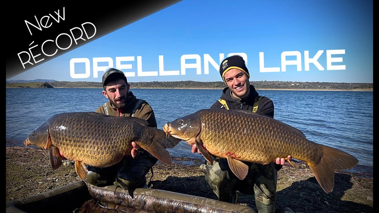 ORELLANA LAKE  [ CARPFISHING ]