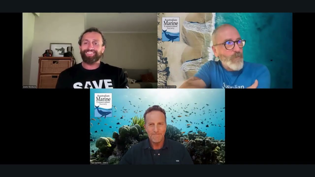 Octopus Arms Webinar - Save Scott Reef (25.10.2025)