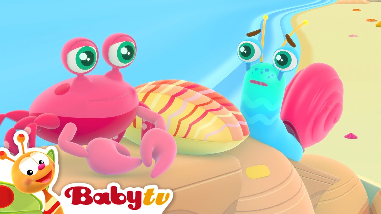 Merenranta löydöt 🦀🐚 | Herra Etana @BabyTVFIN
