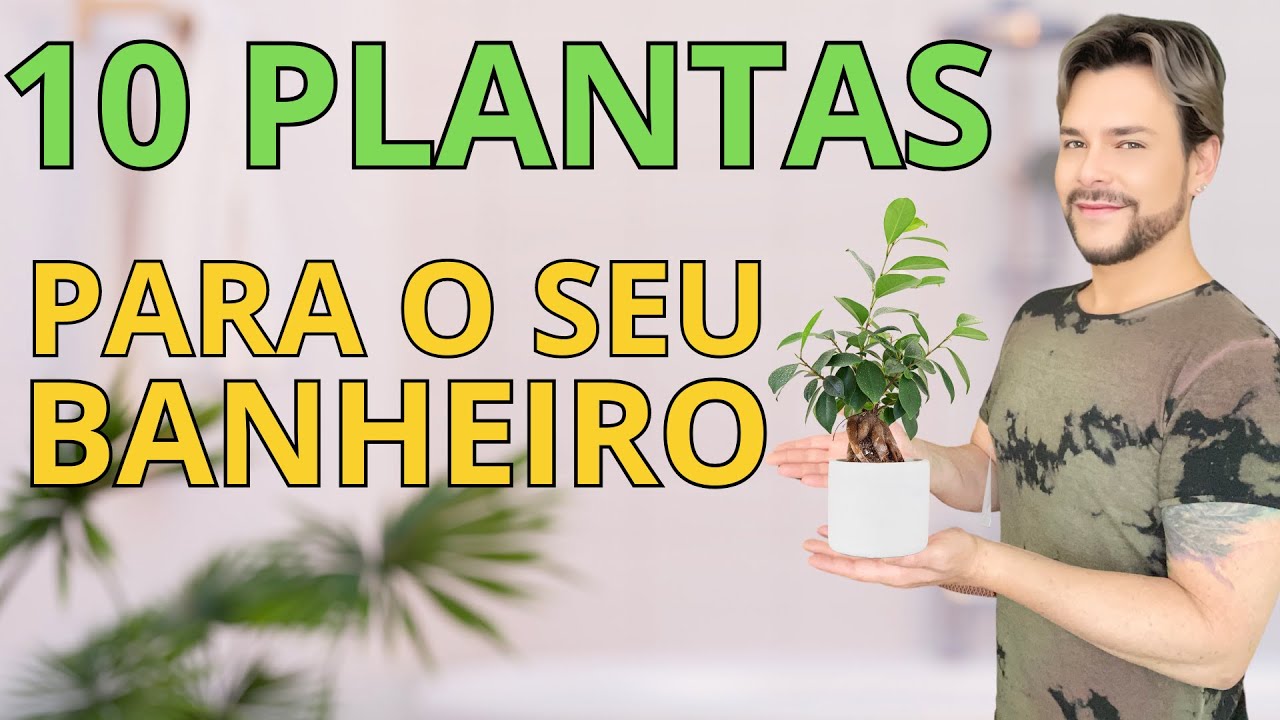 PLANTAS PARA HARMONIZAR O SEU  BANHEIRO FENG SHUI / LUIZ NETTO
