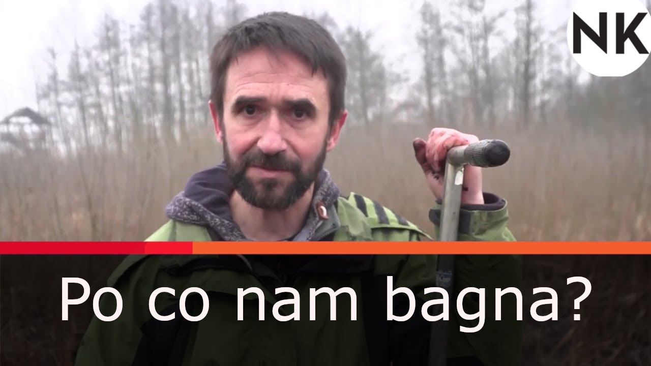 Po co nam bagna? – prof. Wiktor Kotowski