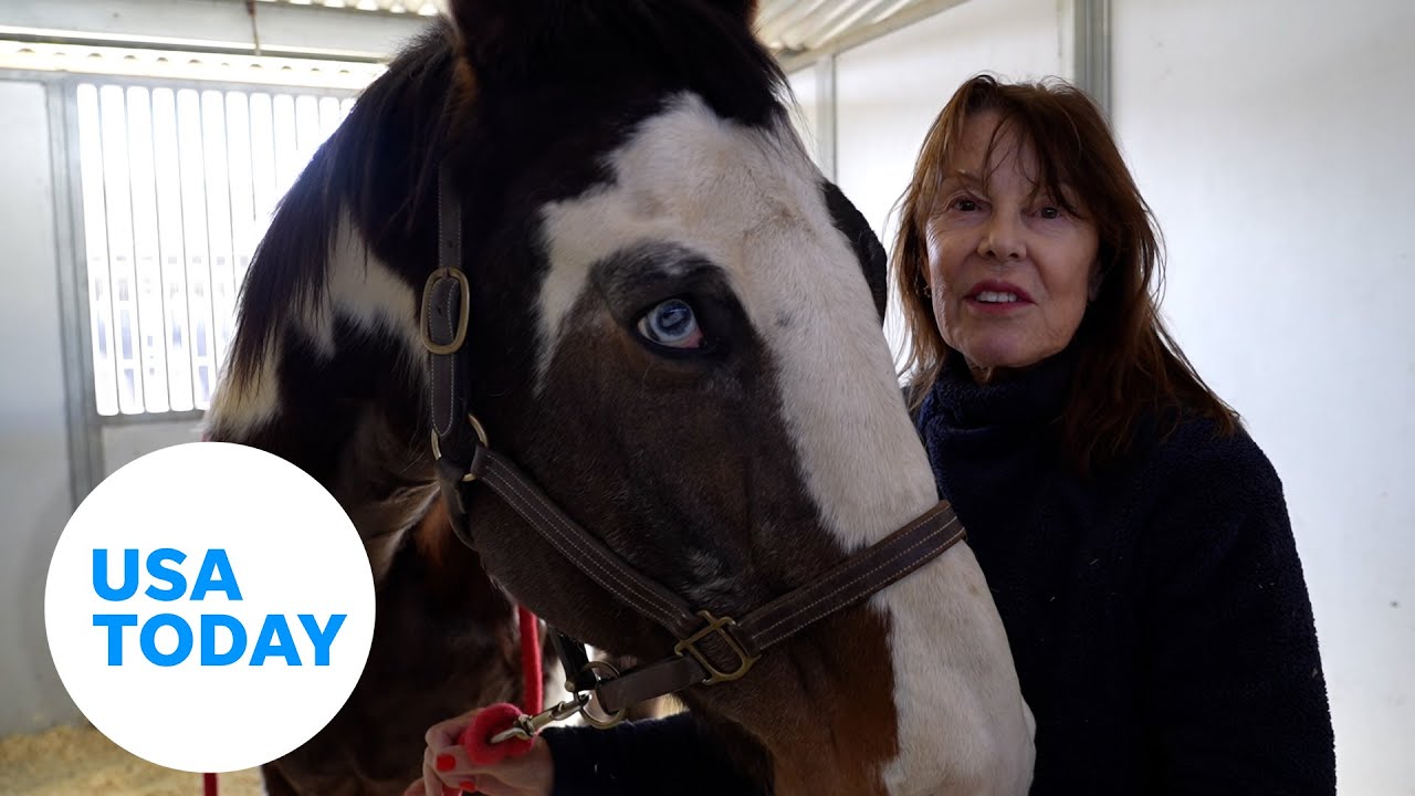 Los Angeles equestrian center shelters horses amid deadly wildfires | USA TODAY