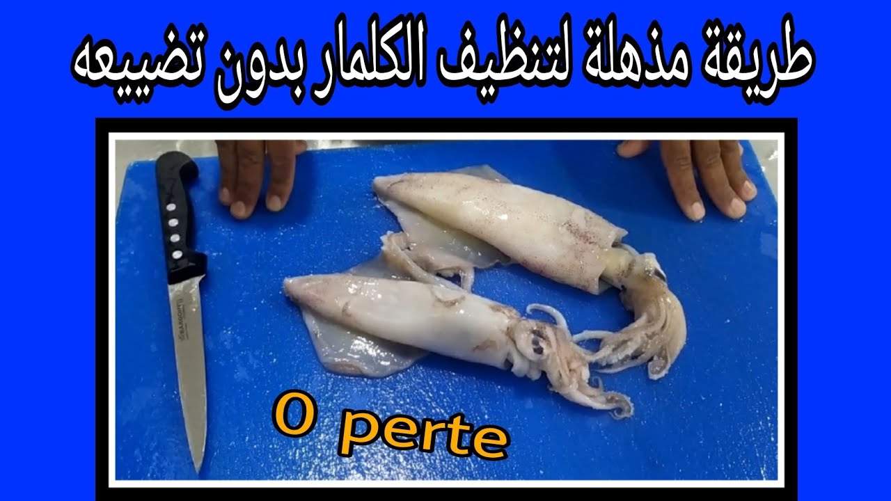 سلسلة أجي تعرف الحوت (الكلمار) تنقية بطريقة فنية واحترافية