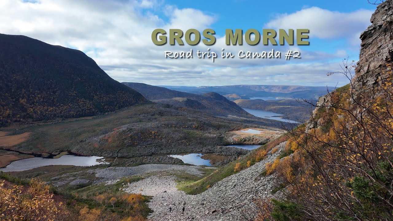ROAD TRIP IN GROS MORNE