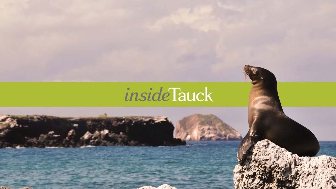 The Enchanted Islands: Galapagos - insideTauck