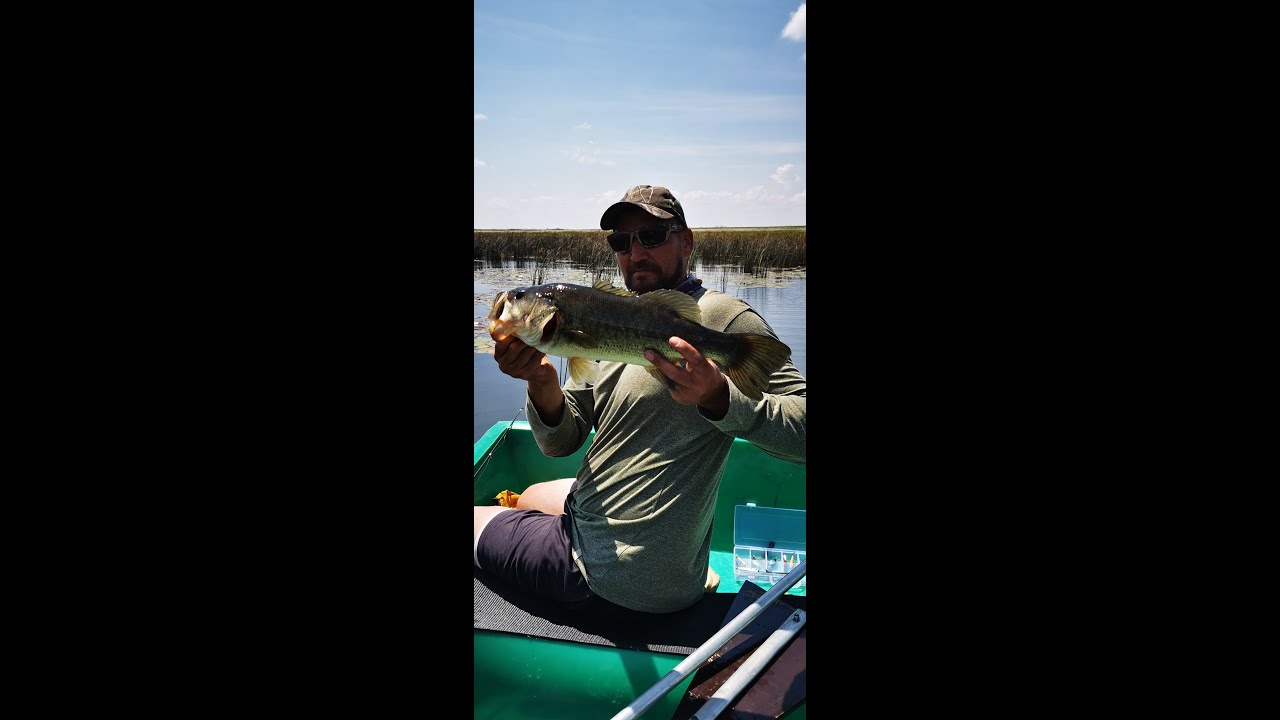 Bass fishing South Africa, Thabo's Dam Bronkhorstspruit