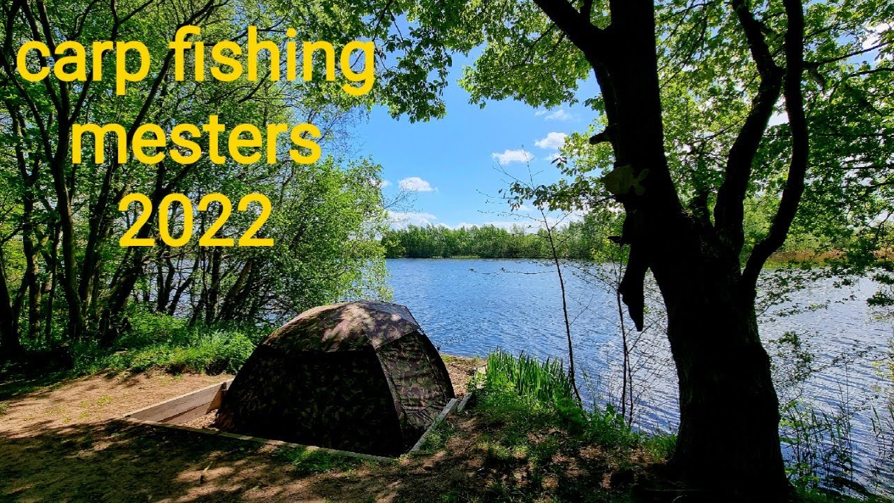 back on mesters syndicate carp fishing 2022