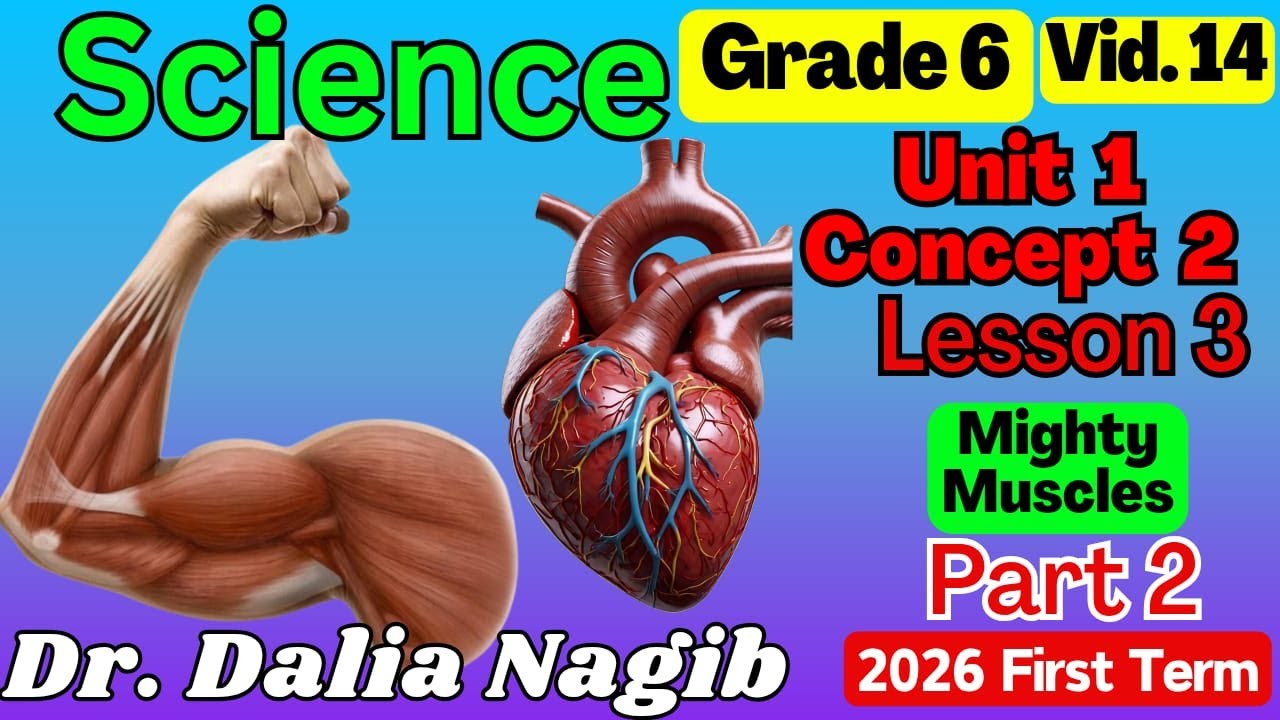 ساينس سادسة ابتدائى ترم اول  𝐆𝐫𝐚𝐝𝐞 6 Science 𝐂𝐨𝐧𝐜𝐞𝐩𝐭 2️⃣ 𝐋𝐞𝐬𝐬𝐨𝐧 3  part 2