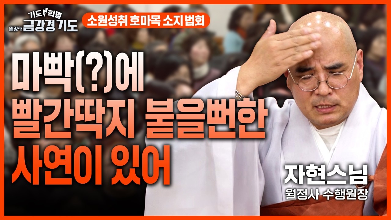 🌟새해의 시작이 좋아야 일년이 좋다🌟 빚더미에 앉은 월정사를 살린 기도? 자현스님 행자 세 번 할 뻔한 사연은? #월정사 #금강경봉찬기도 23화 #정념스님 #자현스님