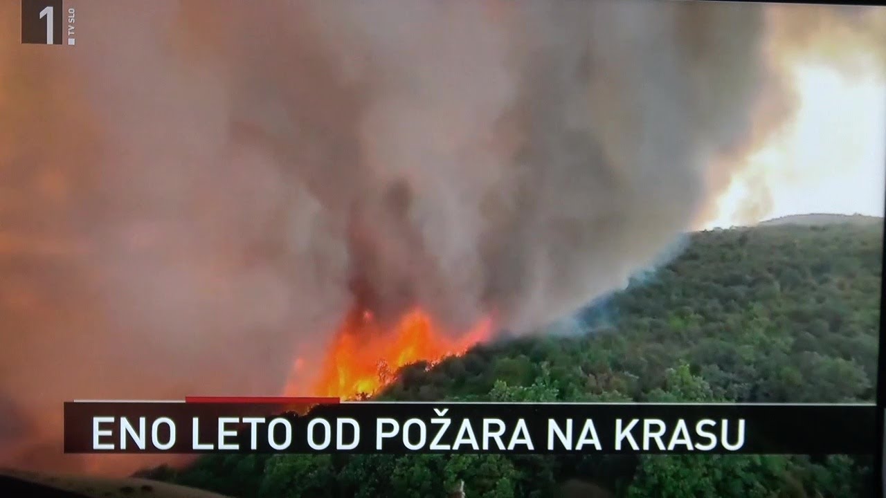 ANALIZA  1  LETO PO  POŽARU NA KRASU  2023