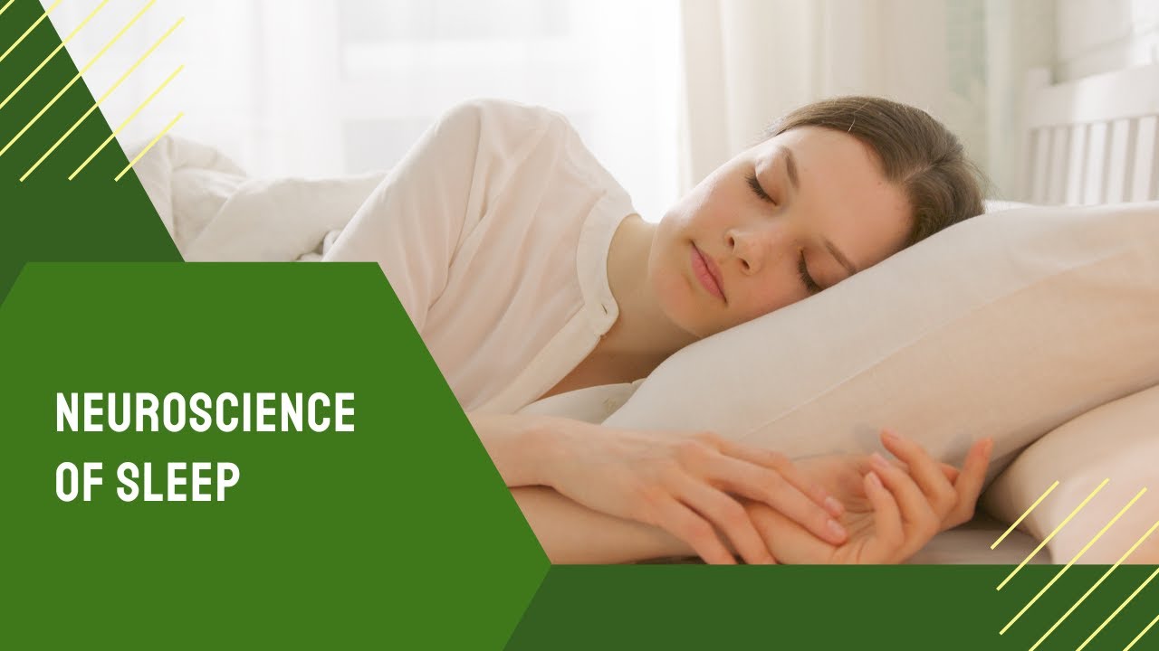 Neuroscience of Dreams and the 5 Phases of Chinese Medicine -A Match Made in the Brain.