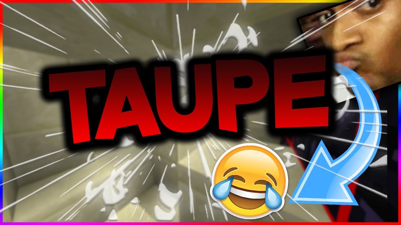 TAUPE TAUPE TAUPE, LE JEU LE PLUS DRÔLE EN HIKABRAIN !!😂