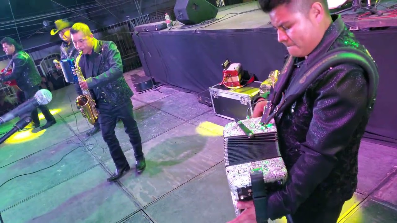 Los Felinos Del Norte - Ojos Negros Nunca Enga&ntilde;an