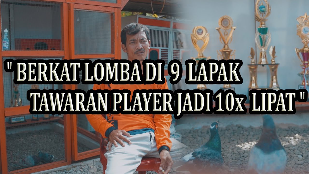 TRAH SAPU LAWAN JADI MATERI TERNAK TEAM ASSUHADA
