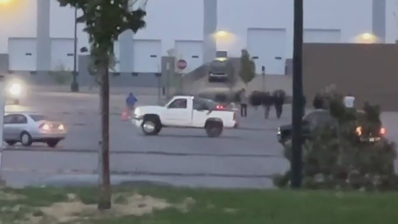 Aurora Police make arrests in street racing crackdown