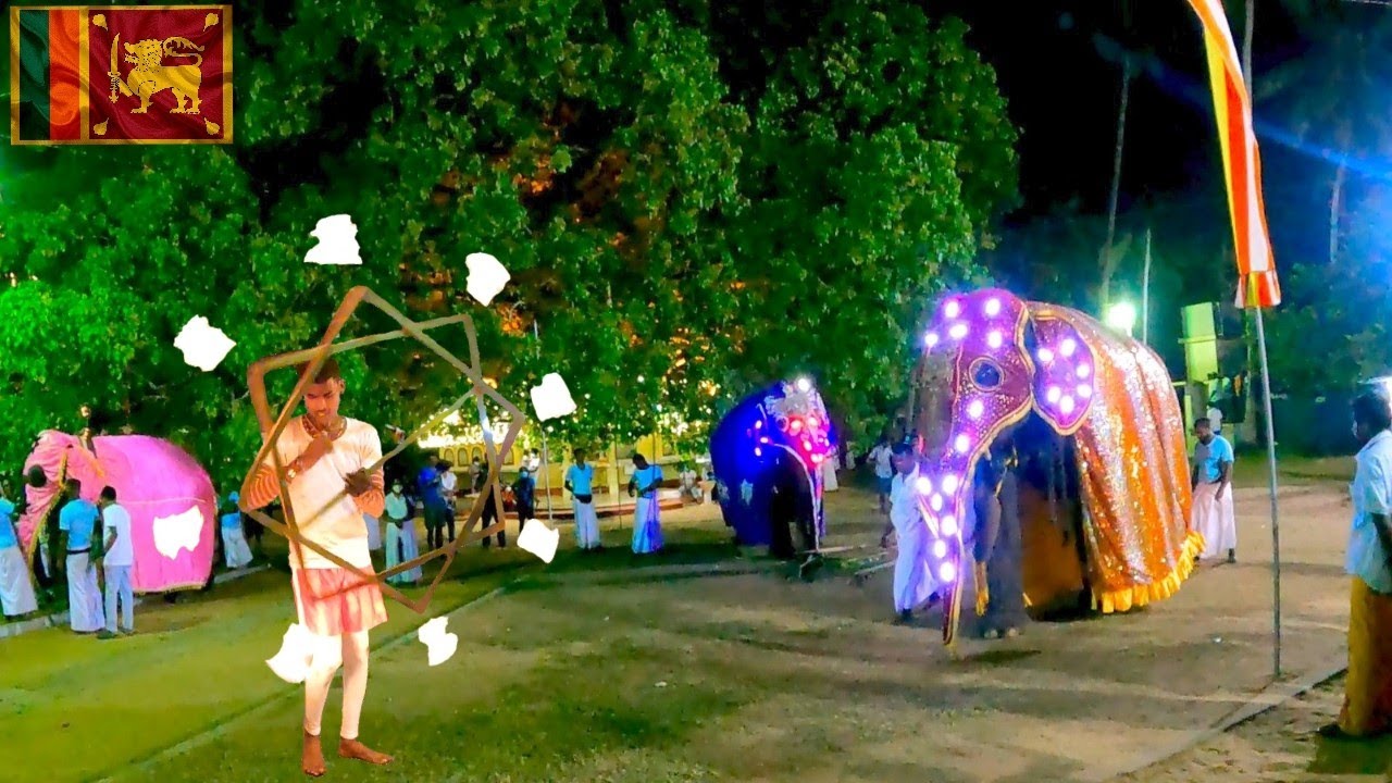 Perahera | Buddhist Culture | Sri Lanka🇱🇰