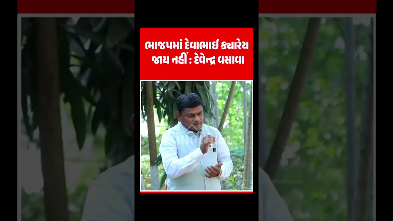 દેવેન્દ્ર વસાવા ભાજપમાં કયારેય નહીં જોડાય: દેવેન્દ્ર વસાવા #devendravasava #chaitarvasava #cdvasava