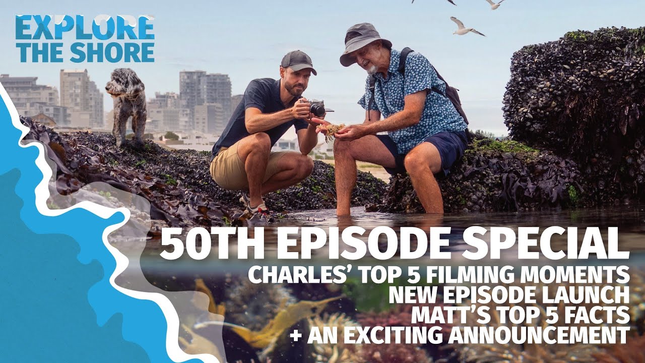 🎉 Episode 50 Special: Celebrating Explore The Shore + Hermit Crabs + Exciting news!