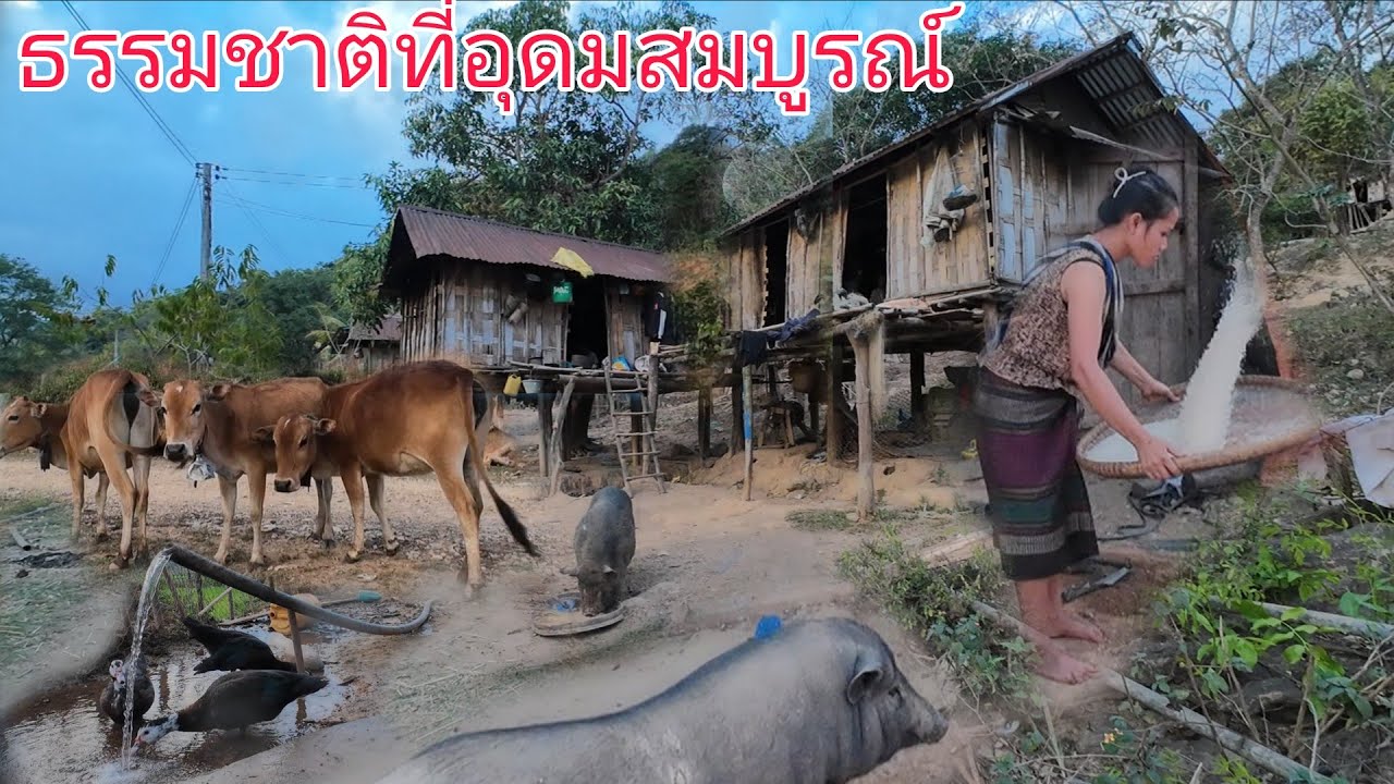 หมู่บ้านที่มีธรรมชาติสวยอุดมสมบูรณ์