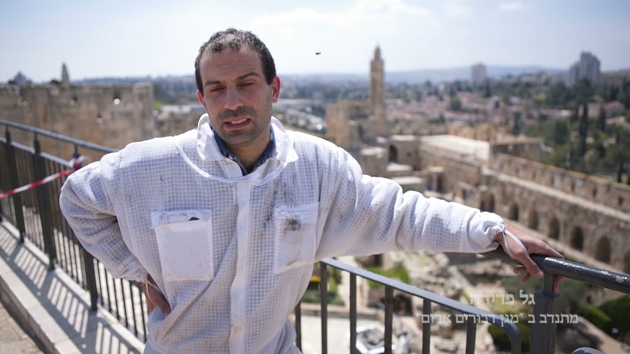 מצילים נחיל דבורים במגדל דוד- מגן דבורים אדום