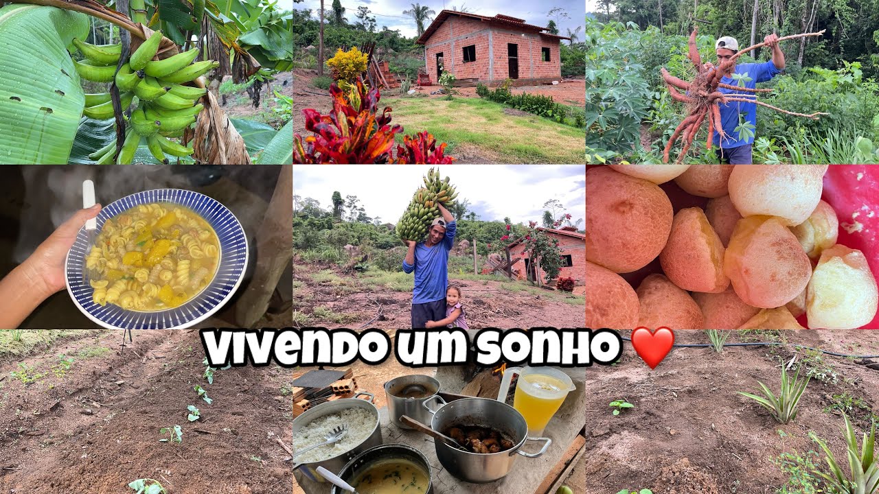 Primeira noite dormindo no sítio com a casa coberta/Janta e almoço no fogão a lenha/ Plantemos mudas