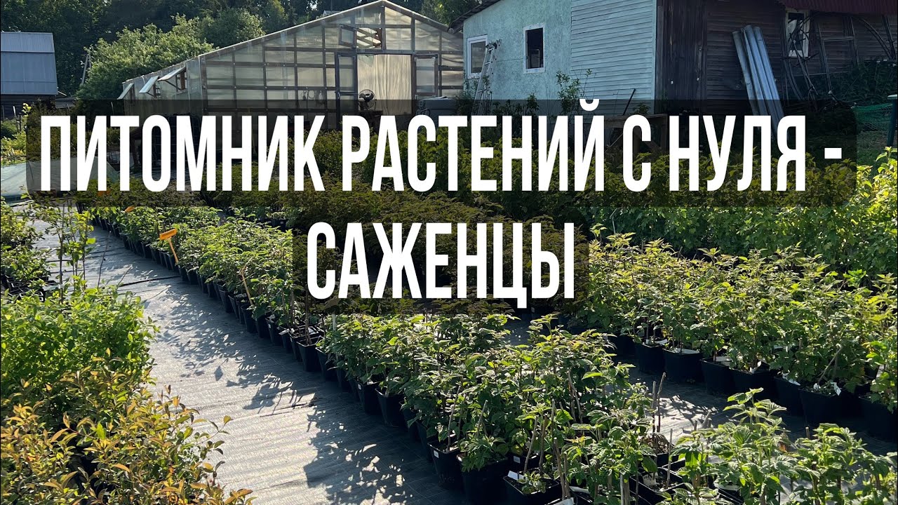 9. Наши саженцы // Контейнерная площадка