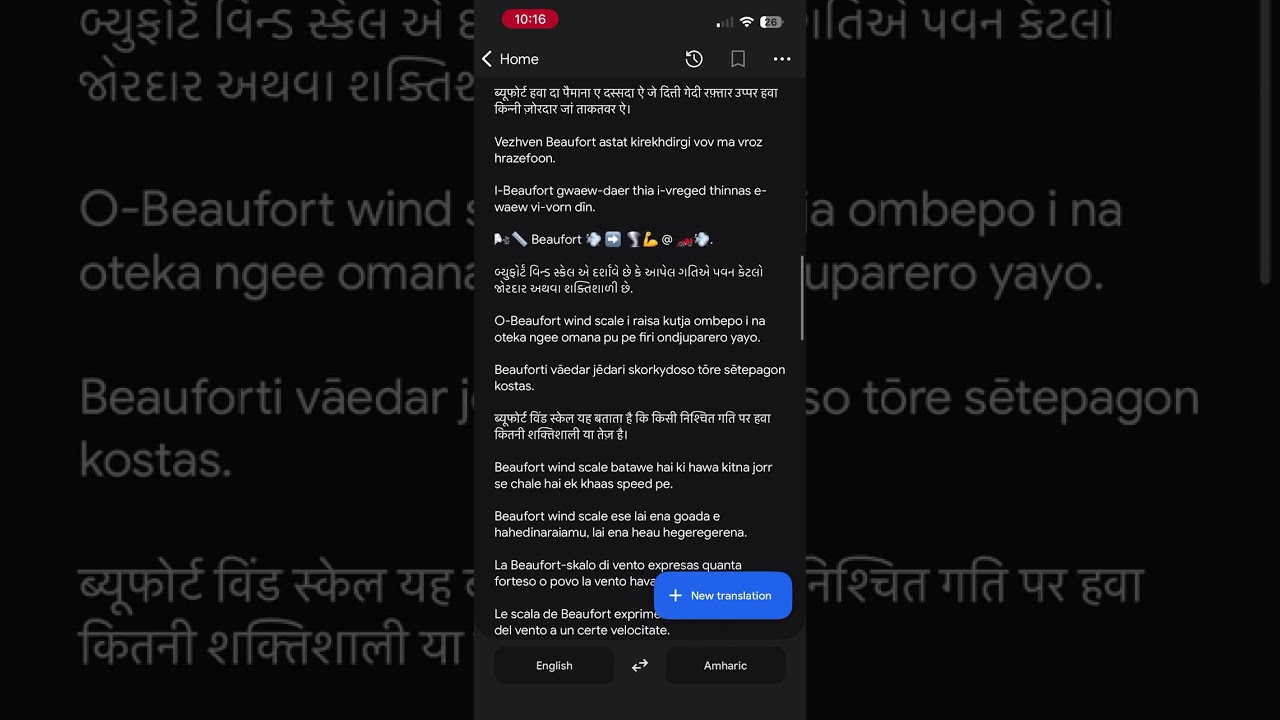 So I actually forced GT to explain the Beaufort scale in obscure languages from Kagi Translate...