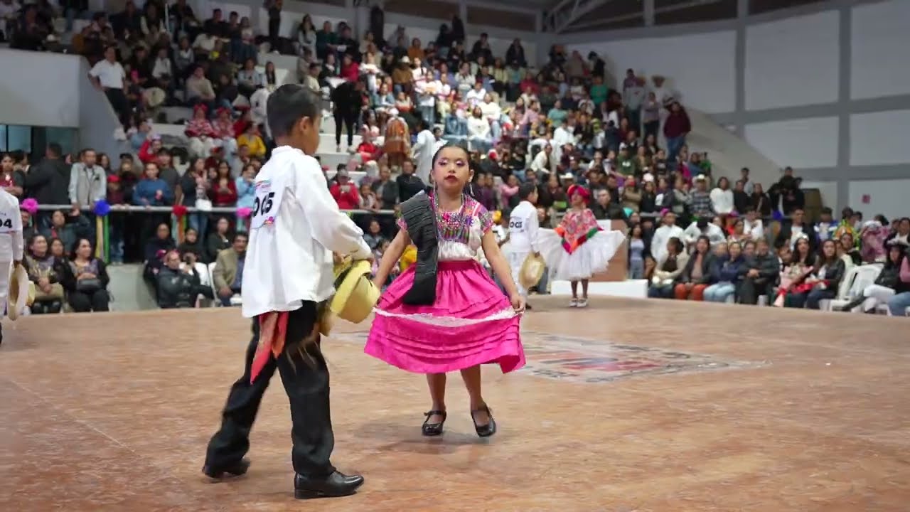 EL QUERREQUE en el concurso de huapango en San Felipe Orizatlan  | Martín Gabino C