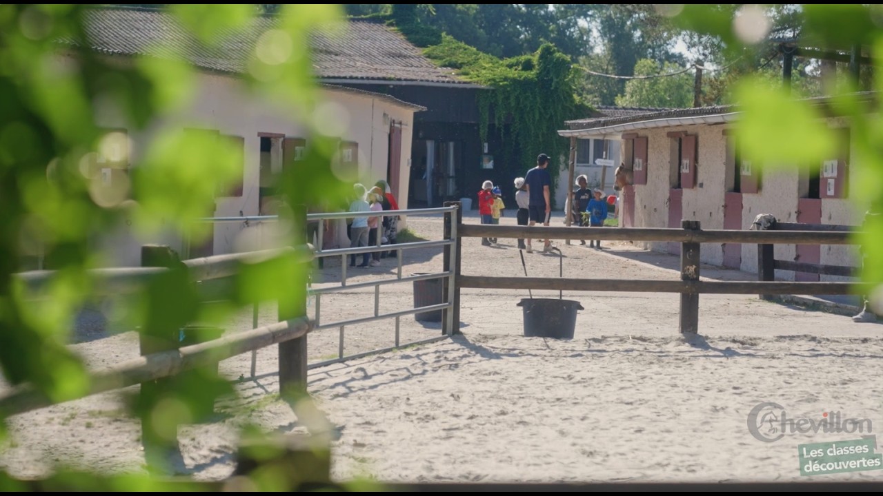 Classes Découvertes Equitation Moyen-âge et Environnement du Domaine Equestre de Chevillon