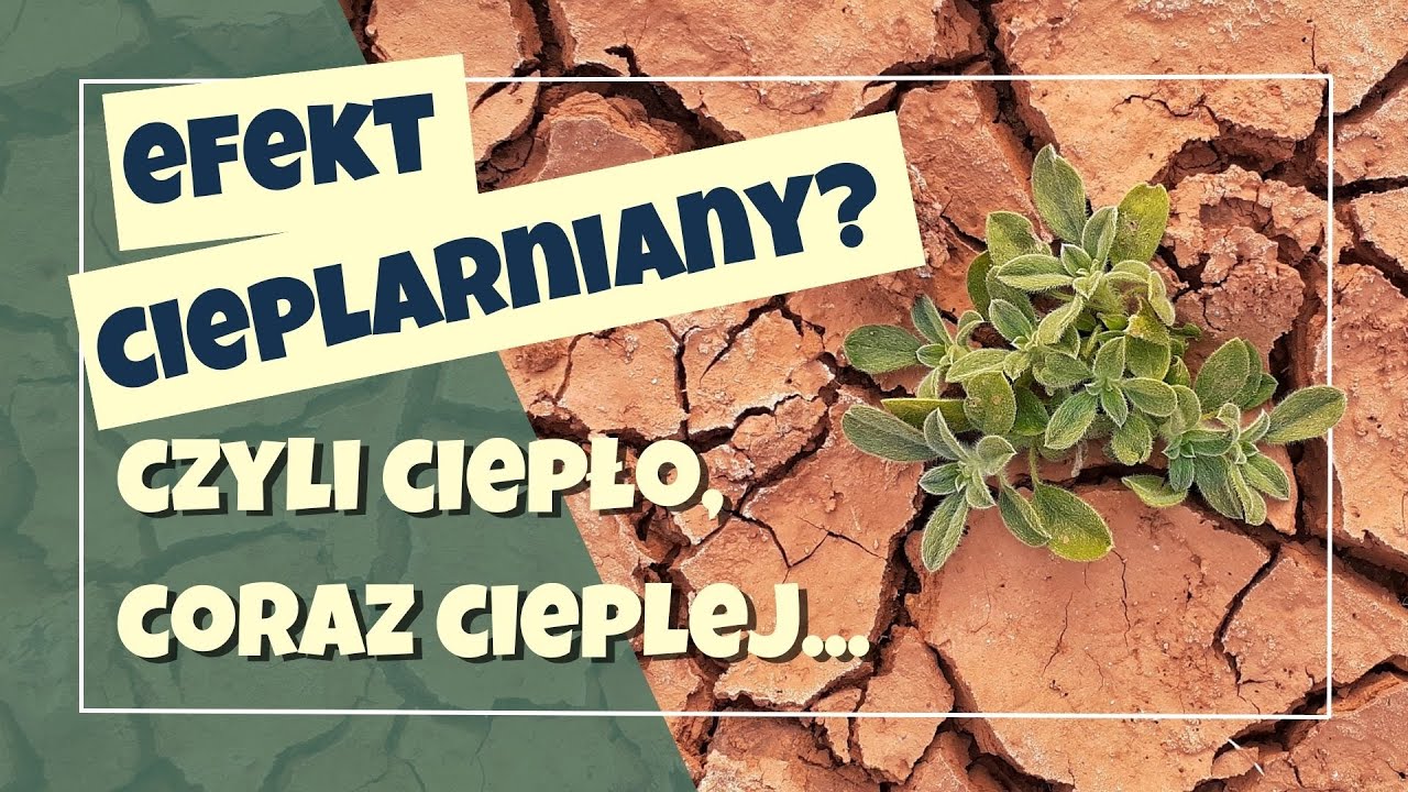 Jak zepsuliśmy EFEKT CIEPLARNIANY?