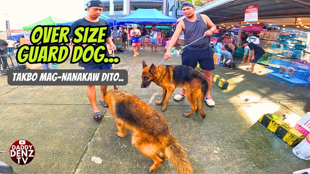 SA SOBRA LAKE AT BIGAT NAHIRAPAN I-UNLOAD.... / NOV. 30 @GROTTO PET MARKET