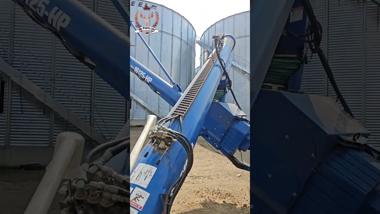 Putting Some Oats Through The Brandt 16125-HP Auger.