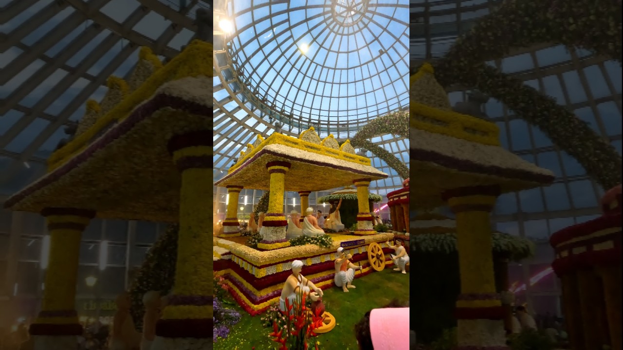 Mysore dasara Flower 🌼 show 2024 #mysoredasara #karnatakafestivals #flowerdecorations #travel