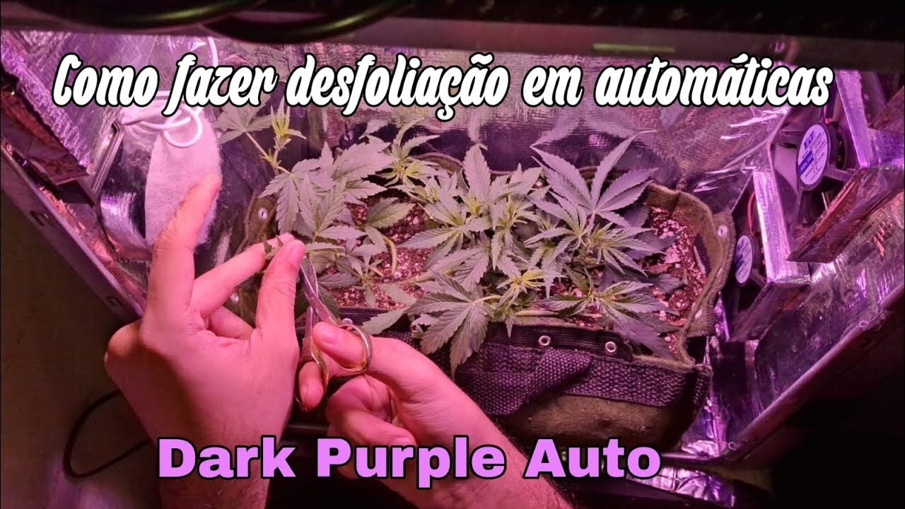 Como fazer desfolia&ccedil;&atilde;o em Autom&aacute;ticas || Dark Purple Auto