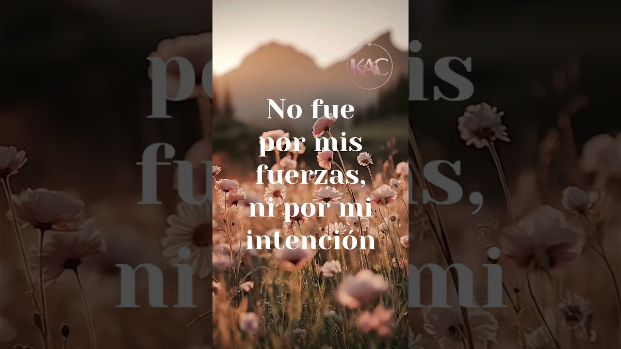 Gracia Infinita
