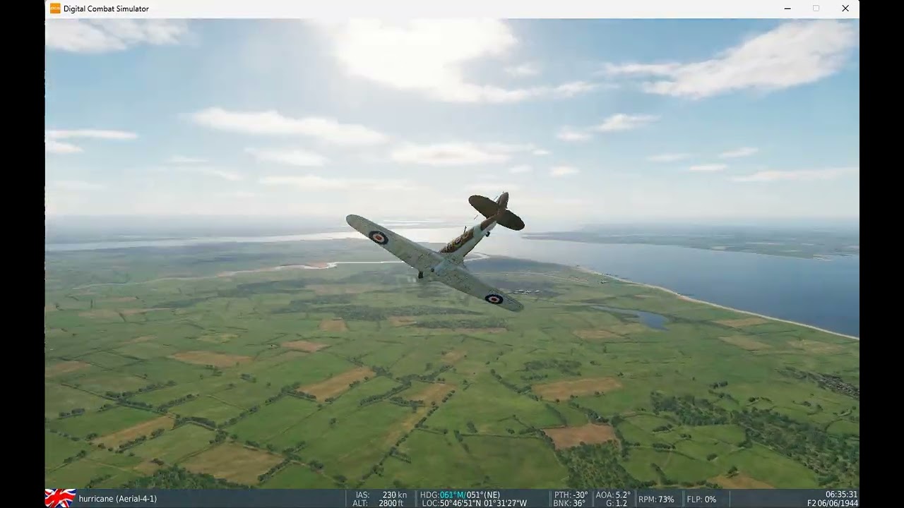 DCS New Forest dogfight